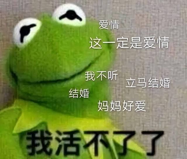 善易不卜不仅仅是一种理性对待命运的态度